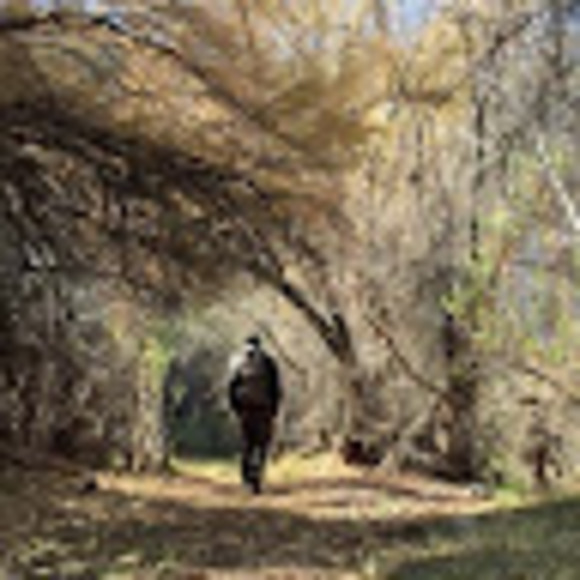 Meet your Posher, Ben - Picture 1 of 1